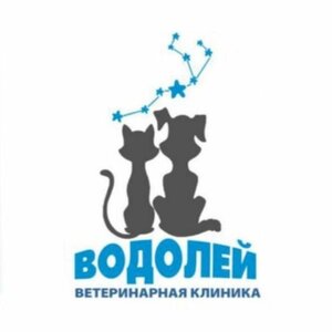 Логотип Водолей