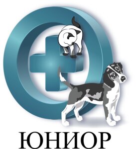 Логотип Юниор