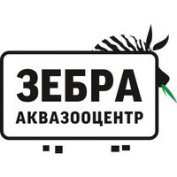 Логотип Зебра