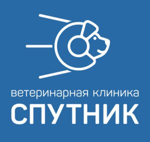 Логотип Спутник