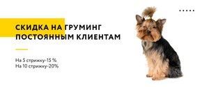 Логотип Доктор Шпицлен