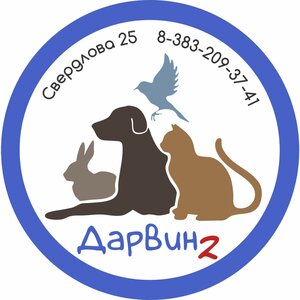 Логотип Дарвин