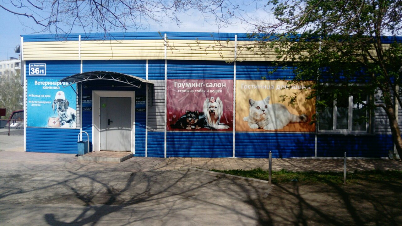 Багира