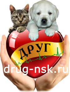 Логотип Друг