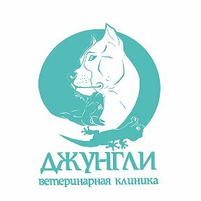 Логотип Джунгли
